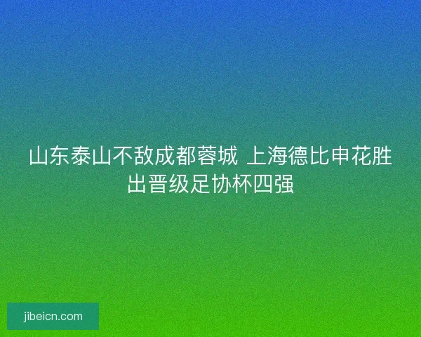 山东泰山不敌成都蓉城 上海德比申花胜出晋级足协杯四强 山东泰山不敌成都蓉城 上海德比申花胜出晋级足协杯四强